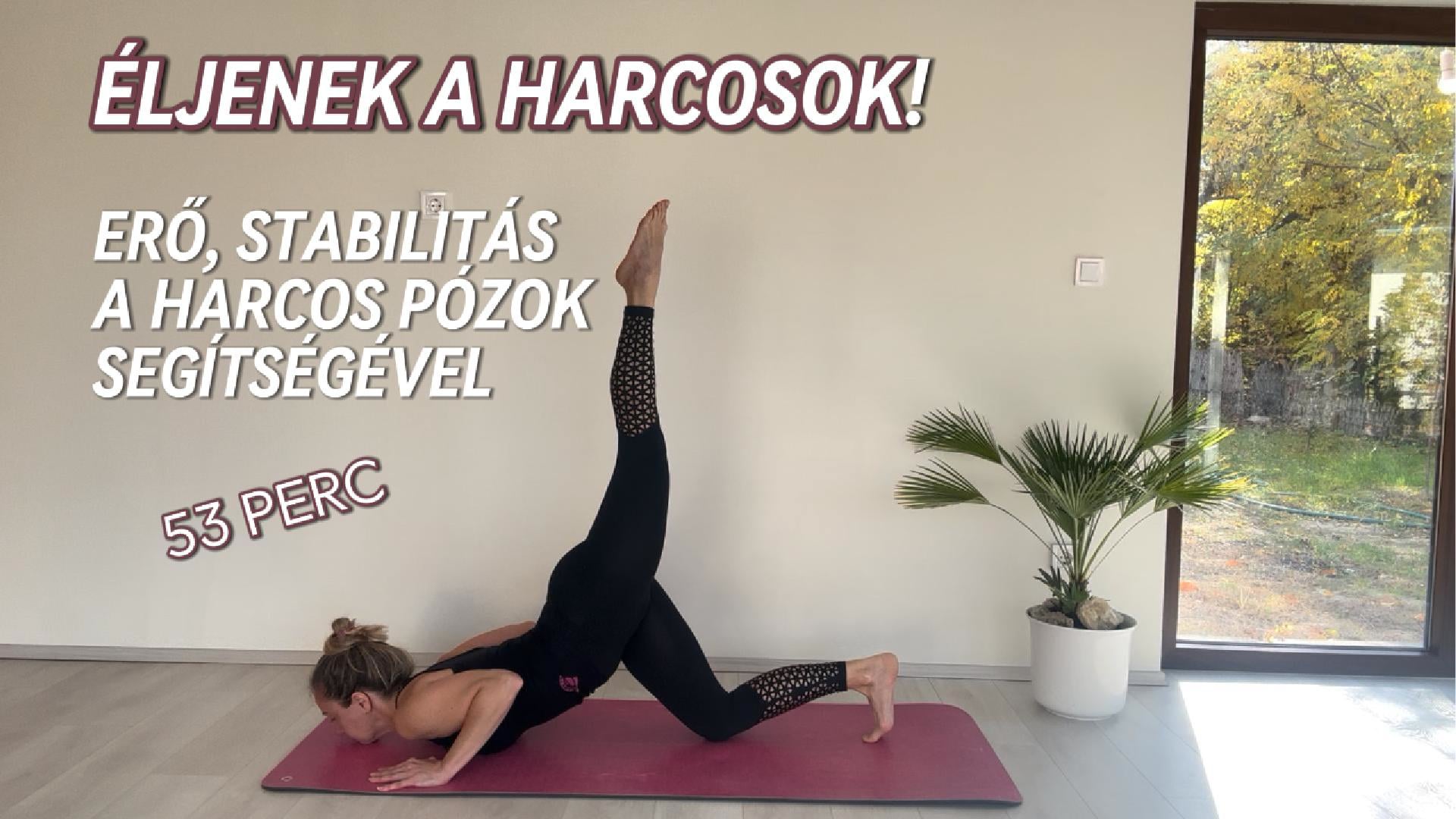 Éljenek a harcosok! Erő, stabilitás a harcos pózok segítségével